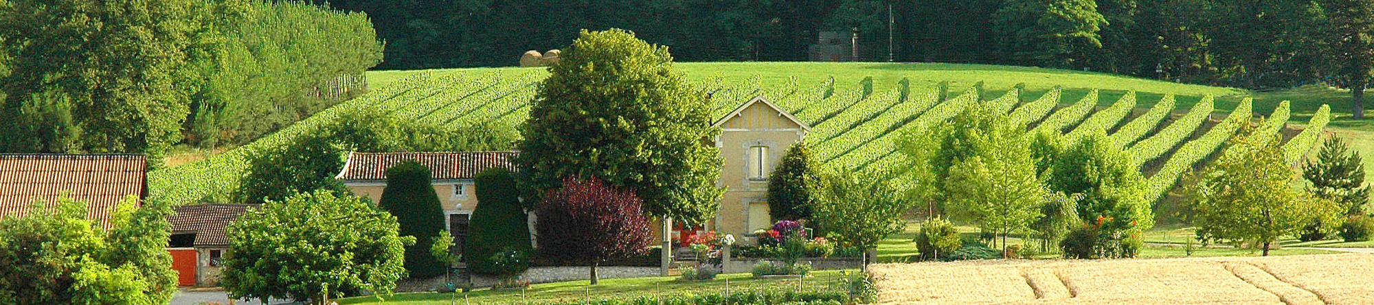 Panorama du Vignoble du Domaine du Siorac au sud de Bergerac