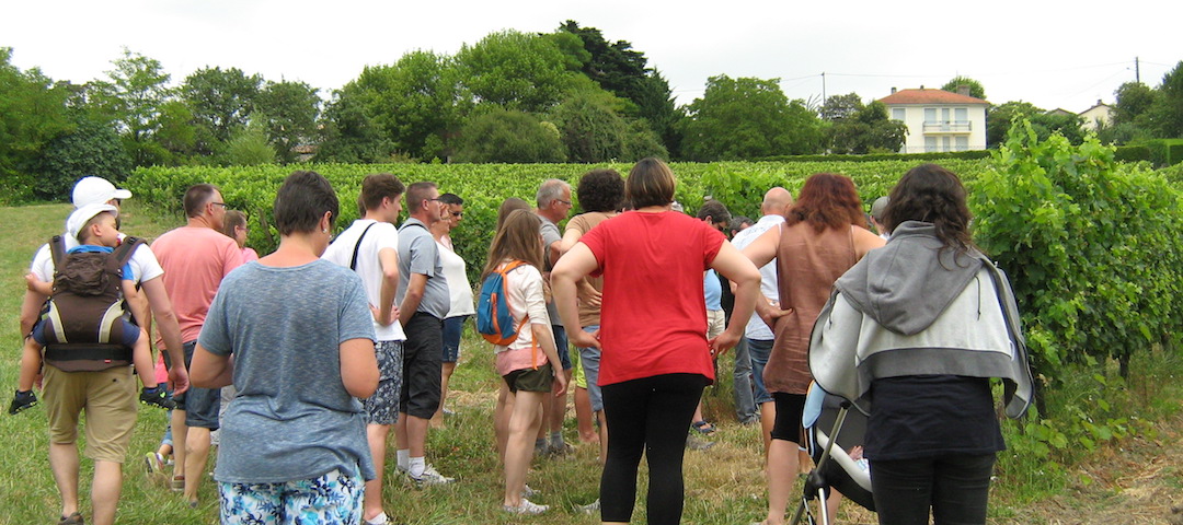Visite guidée de notre vignoble (vignes, chais, celliers) et dégustation de nos vins AOC Bergerac - Tourisme et Oenotourisme