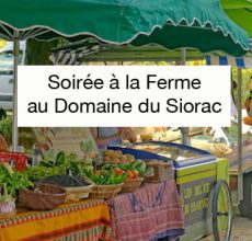 Soirée à la ferme du Domaine du Siorac avec ses vins AOC bergerac, des produits du terroir et une animation musicale