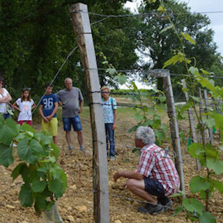 Visite guidée du vignoble du Domaine du Siorac au sud de Bergerac