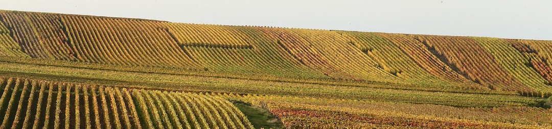 Foire aux Vins de Mailly - Vins AOC Bergerac - Domaine du Siorac