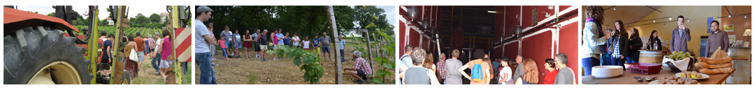 visite vignoble bergerac au Domaine du Siorac