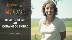 page-video-oenotourisme