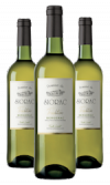 Vin Blanc Sec Bergerac