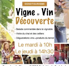 Vigne et vin découverte Domaine du Siorac
