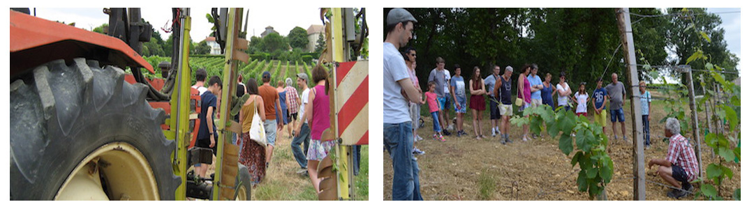 Visite Domaine du Siorac - Sélection de la Route des Vins