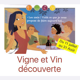 Vigne et Vin Découverte visite commentée du vignoble et dégustation