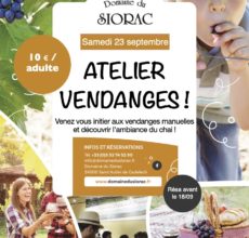 flyer-atelier-vendanges-2023-web