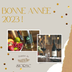 bonne année 2023