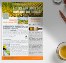 Lettre aux amis du Domaine du Siorac automne hiver 2024 2025