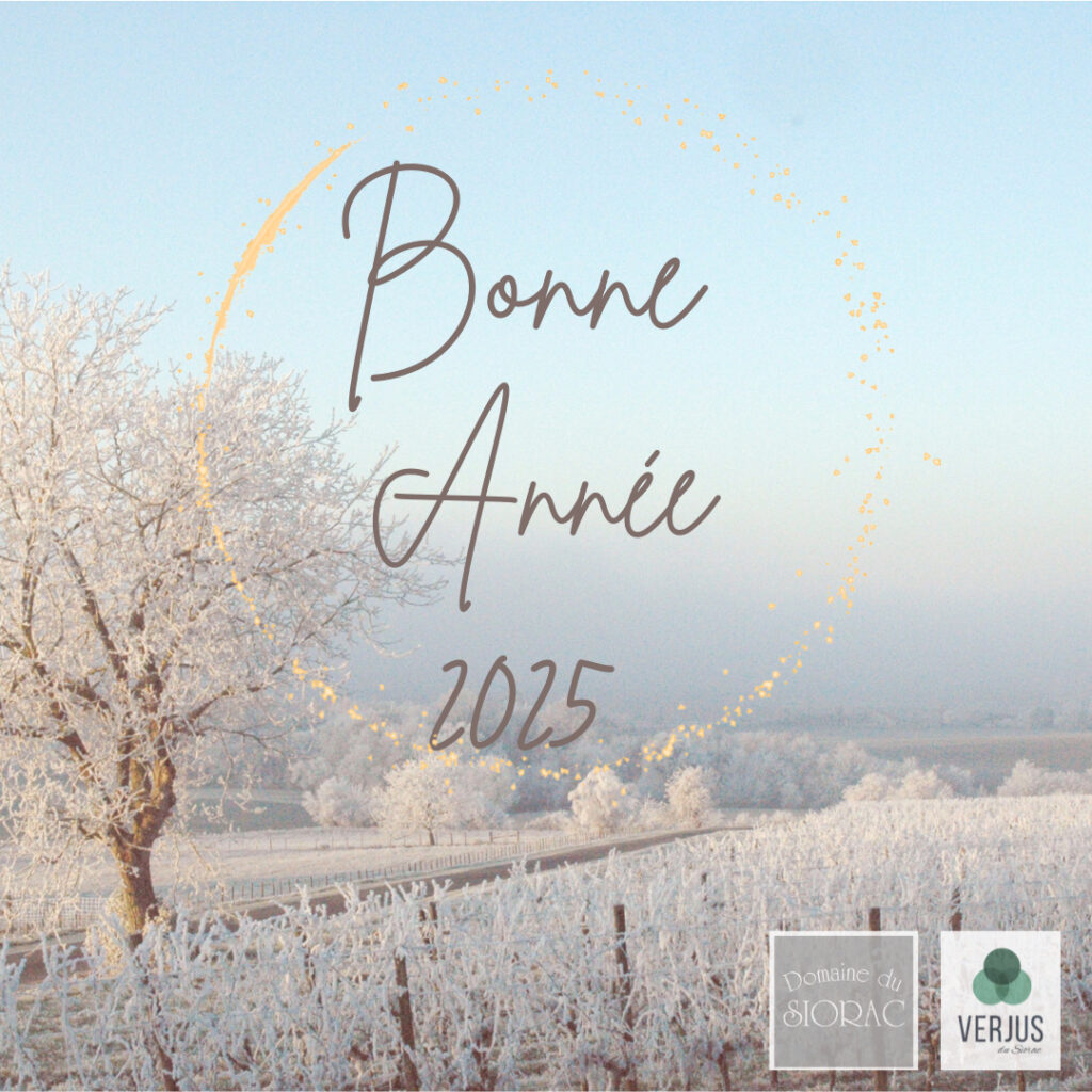 Muriel et toute l'équipe du Domaine du siorac vous souhaite une Bonne année 2025