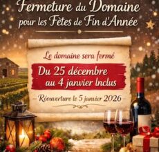 fêtes de fin d'année Domaine du Siorac